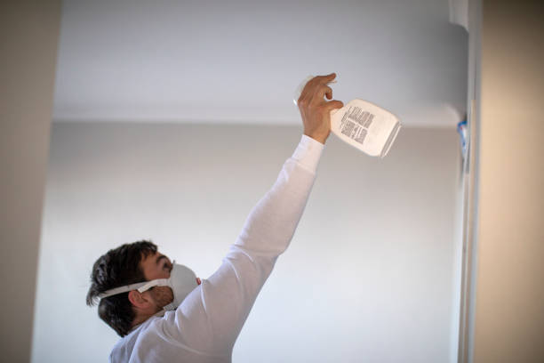 Best Emergency Mold Removal  in Charlotte Park, FL