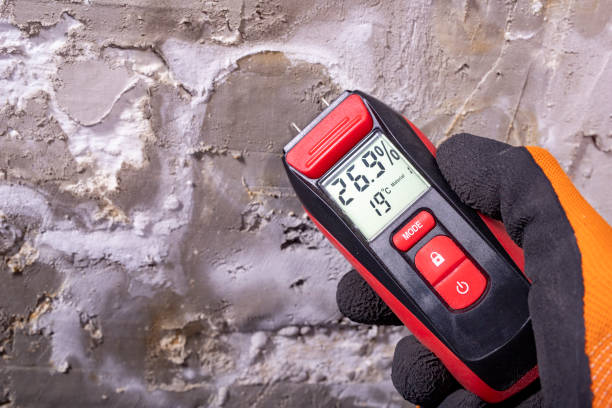Best Toxic Mold Removal  in Charlotte Park, FL