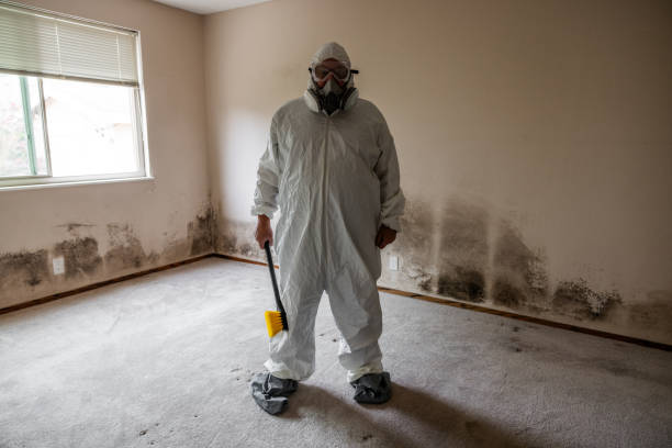 Best Commercial Mold Removal  in Charlotte Park, FL